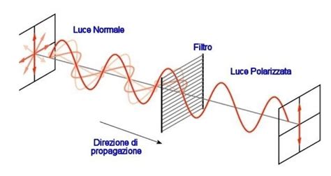 Spiegazione della luce polarizzata e non polarizzata