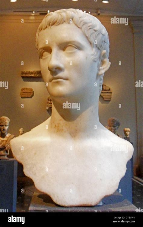 Busto dell'imperatore Caligola