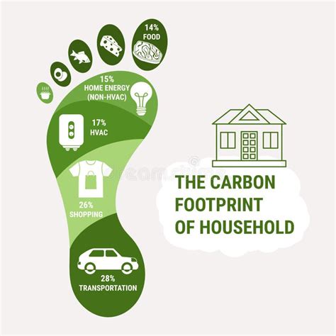 rappresentazione grafica dell'impronta di carbonio e della mano di carbonio