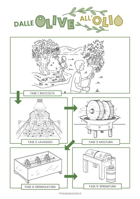 Schema che illustra il percorso dell'olio attraverso il filtro motore
