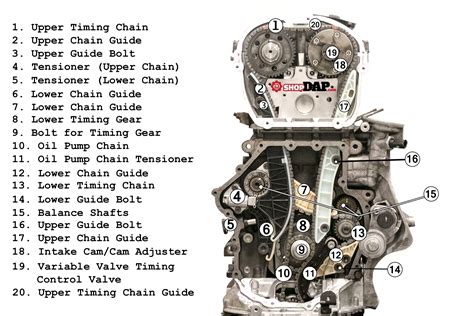 Engine timing chain diagram