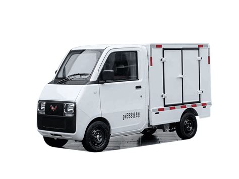 Mini Electric Cargo Van in azione