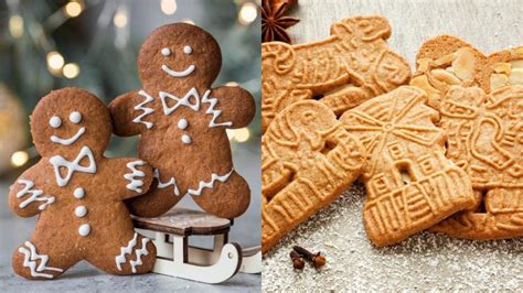 Differenze tra biscotti standard e allungati