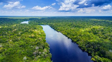 Panorama della foresta amazzonica colombiana