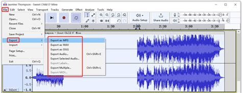 schermata di Audacity con una traccia audio selezionata