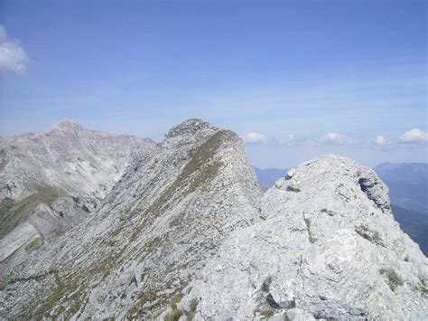 Illustrazione del profilo della parete nord del Monte Alto di Sella