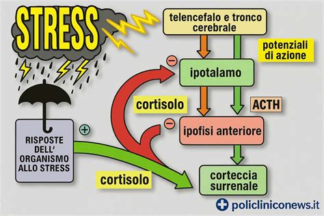 infografica che mostra situazioni di stress vs situazioni di imbarazzo e le emoji corrispondenti