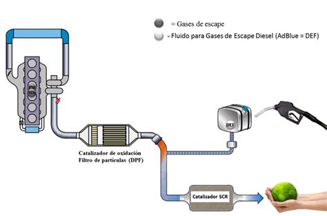 Sistema DPF e valvola EGR