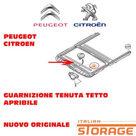 Schema scarico tetto apribile