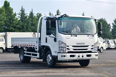 Isuzu 4x4 Cargo Truck con configurazione per avventure off-road