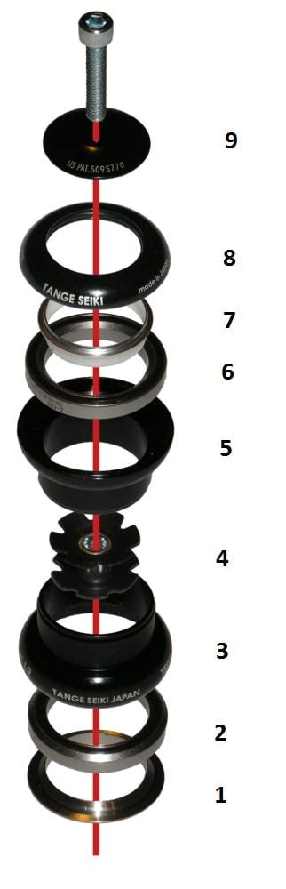 Diagramma di una serie sterzo integrata