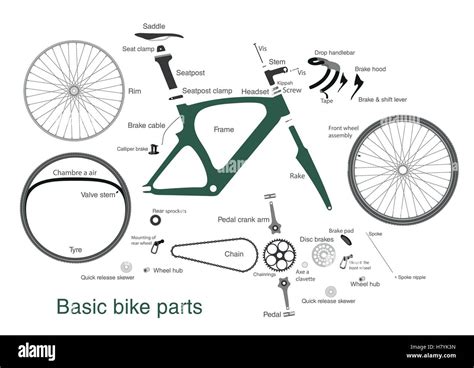 Infografica: Caratteristiche principali delle bici ibride Angelucci
