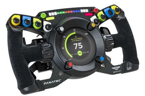 Pilota di Sim Racing in azione con volante e pedaliera