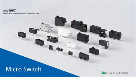 interni microswitch contatti