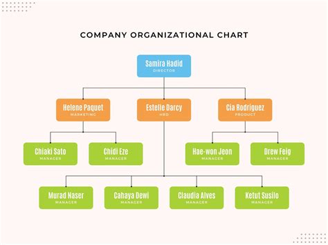 Third sector organizational chart