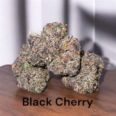 Infiorescenze di Black Cherry Gelato con sfumature viola e copertura di tricomi.