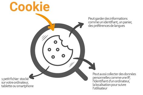 Schema funzionamento cookie web