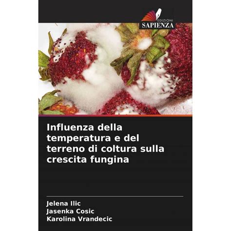 Influenza della temperatura sulla vernice