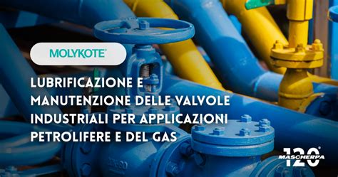 Manutenzione del comando del gas e lubrificazione