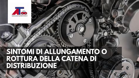 Schematico della distribuzione a catena