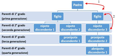 Infografica: Tipi di vincoli familiari (parentela, affinità, affettivo)