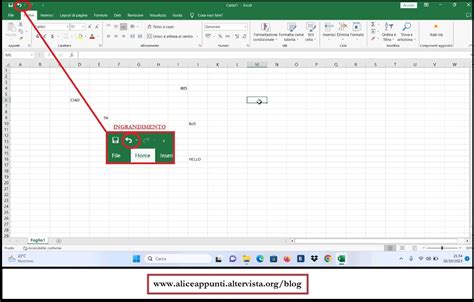 Screenshot del comando Annulla in PriMus-DCF