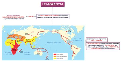 Mappa che illustra migrazioni interne e squilibri territoriali
