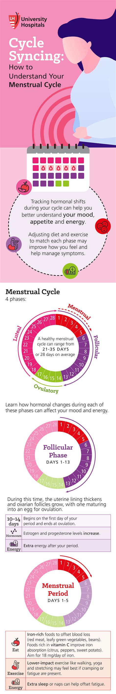 Infographic showing the menstrual cycle and potential breast pain correlation.