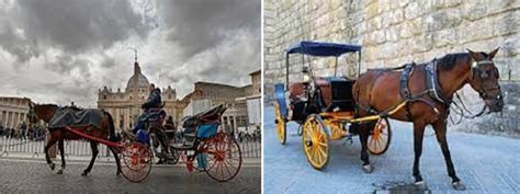 Tavola illustrativa di biciclette e veicoli a trazione animale