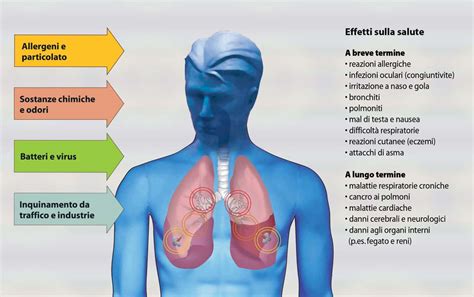 Impatto dell'inquinamento sull'apparato respiratorio