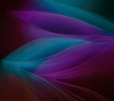 Diagramma di flusso della composizione negoziata e del concordato semplificato