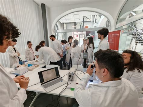 Studenti impegnati in attività di laboratorio 