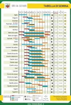 Schema di semina e trapianto del pomodoro