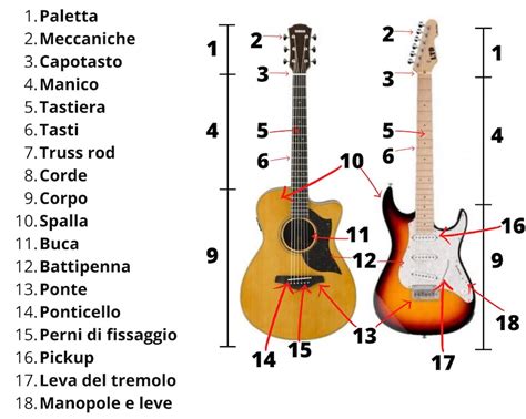 Diagramma della struttura di Acustica Audio Dove