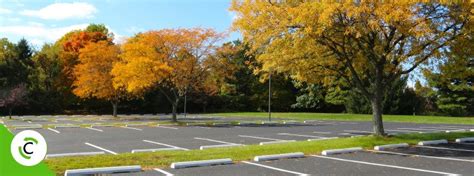 Parcheggio verde con alberi e aiuole