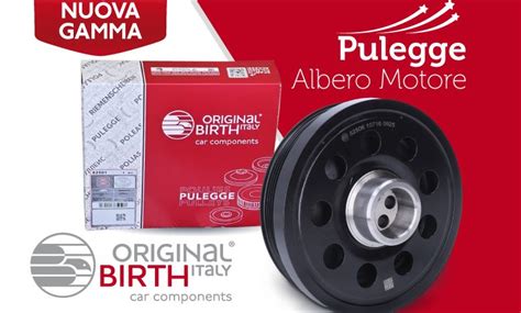 pulegge e rinvii motore