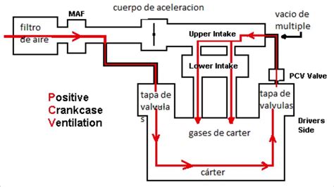 Diagramma del sistema PCV di un motore per mostrare il filtro recupero olio