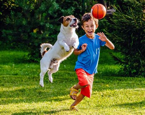 bambino che gioca con un cane in modo rispettoso