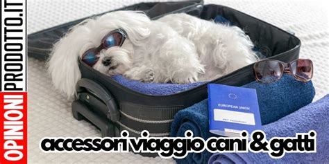 Accessori da viaggio per cani: tappetino e ciotola