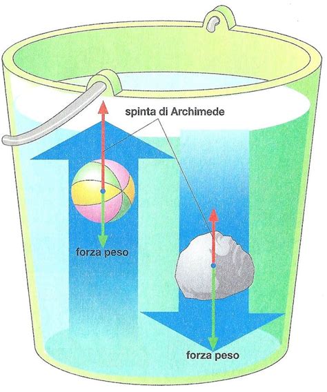 Illustrazione del principio di Archimede applicato a un galleggiante