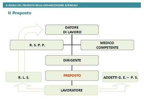 Diagramma sul ruolo del caso e della premeditazione nella vita