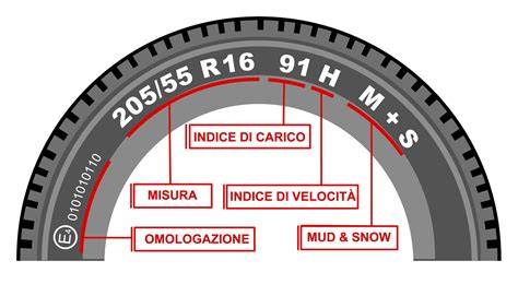 Pneumatici di diverse dimensioni e tipologie