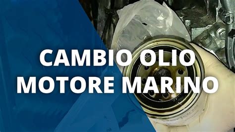 Manutenzione invertitore marino