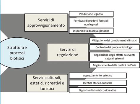 Diagramma: Servizi post-vendita offerti dai concessionari