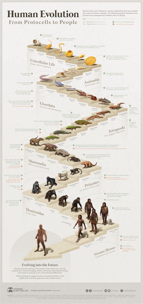 Graphic showing the evolution of a small workshop into a large factory