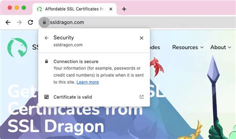 icona di un lucchetto SSL su un browser