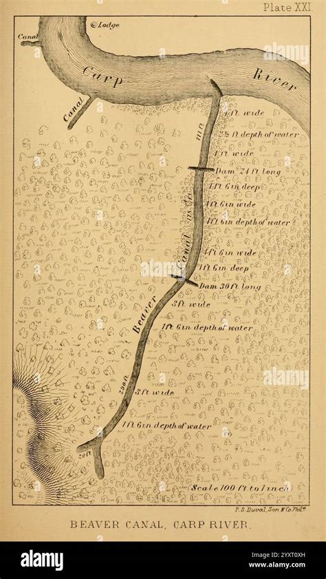 Mappa con diversi punti che indicano gommisti e officine
