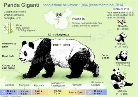 Mappa della distribuzione geografica del panda gigante in Cina