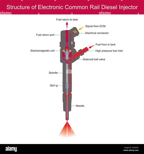 Componenti Iniettore Common Rail
