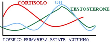 diagramma delle fluttuazioni ormonali